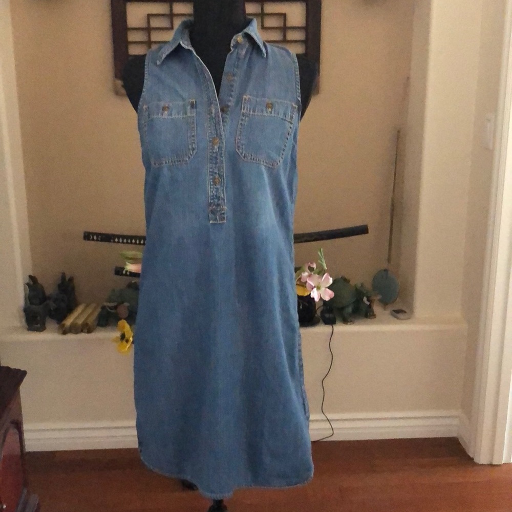 Chambray sleeplessness dress, worn once